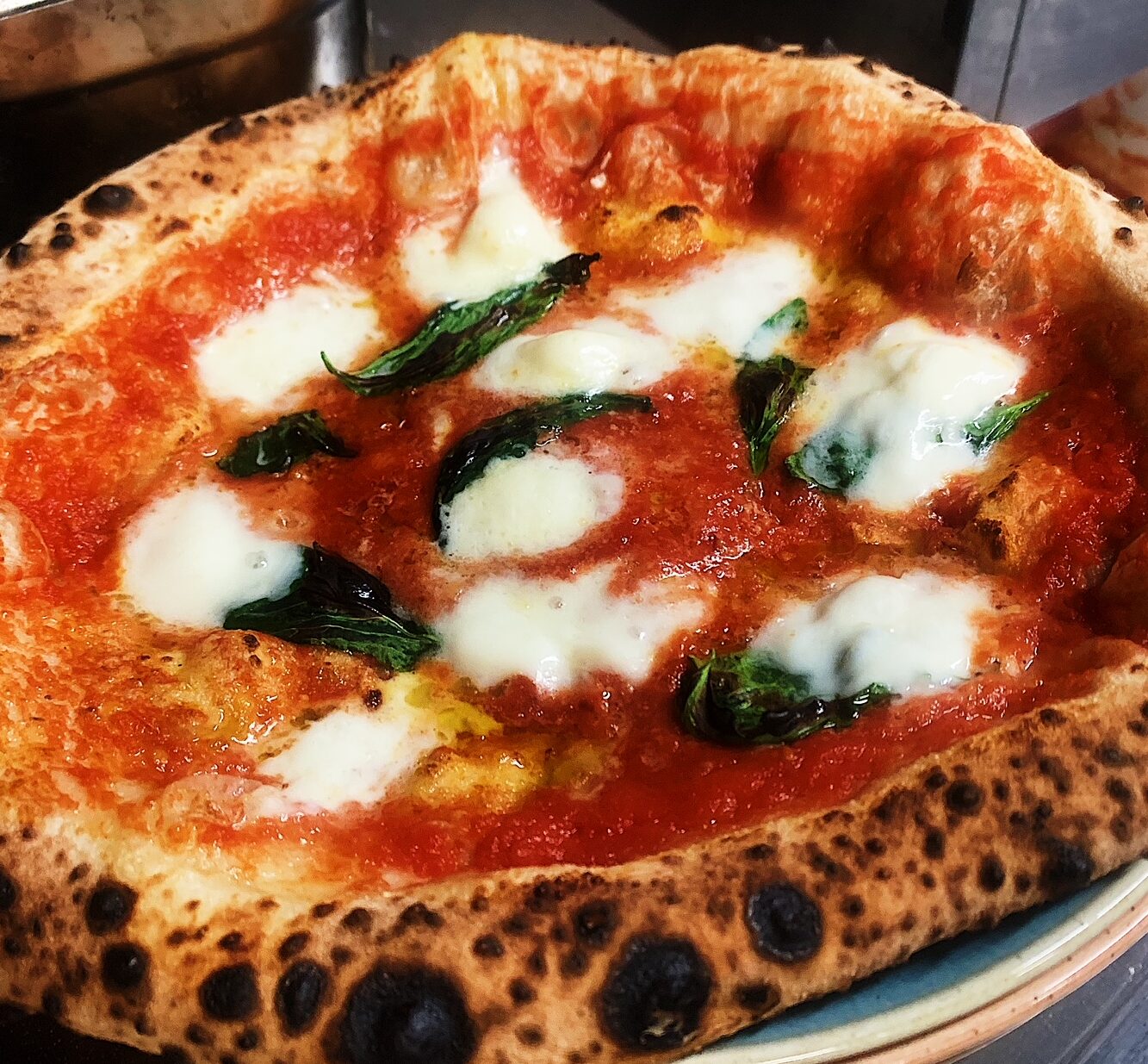 Margherita pizza with fior de latte